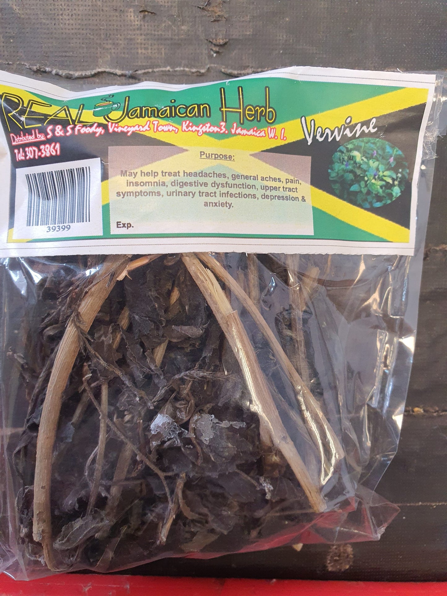 Real Jamaican Vervain Bush