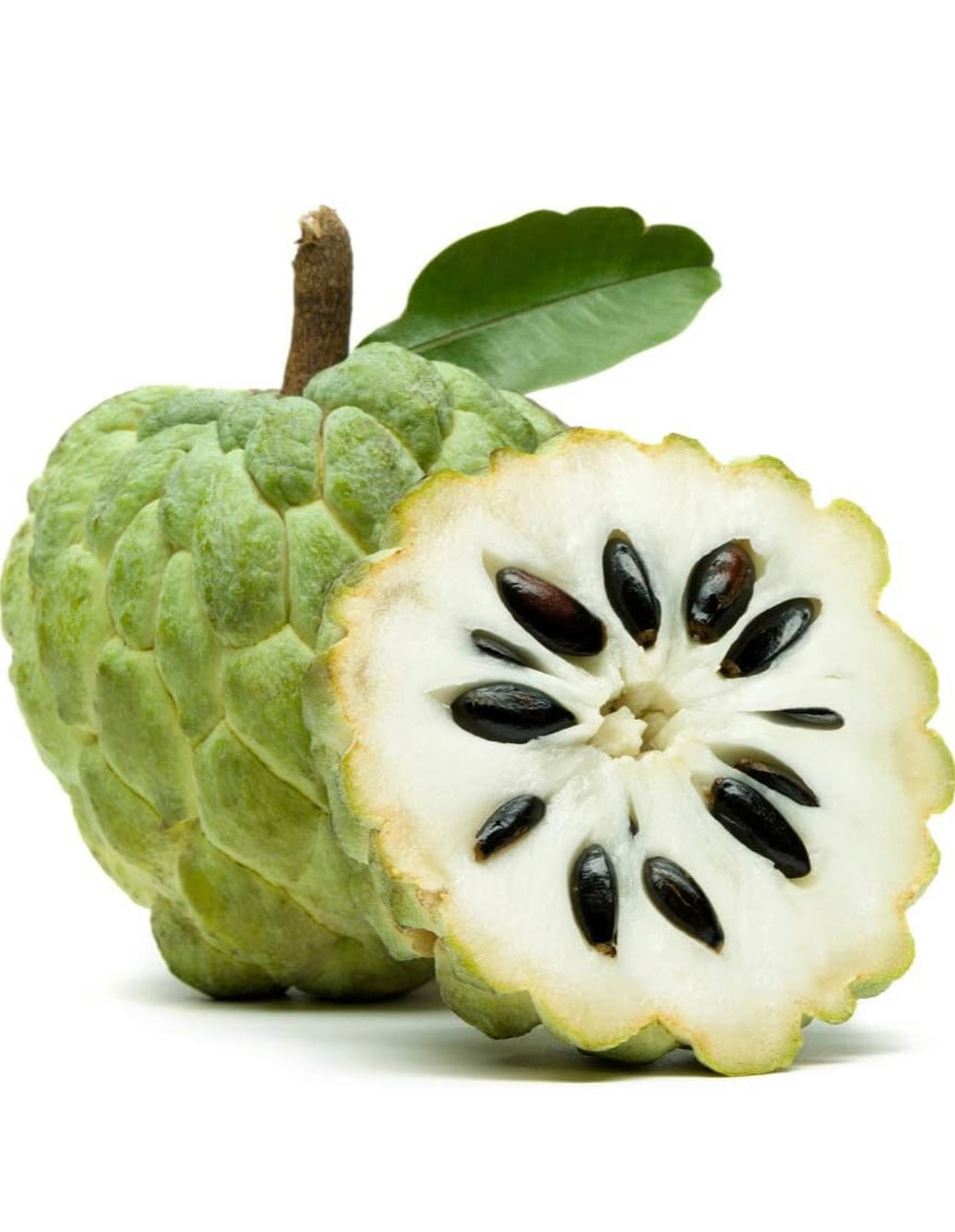 Custard Apple