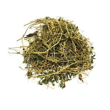 Jamaican Cerasee 100g Bulk Bag