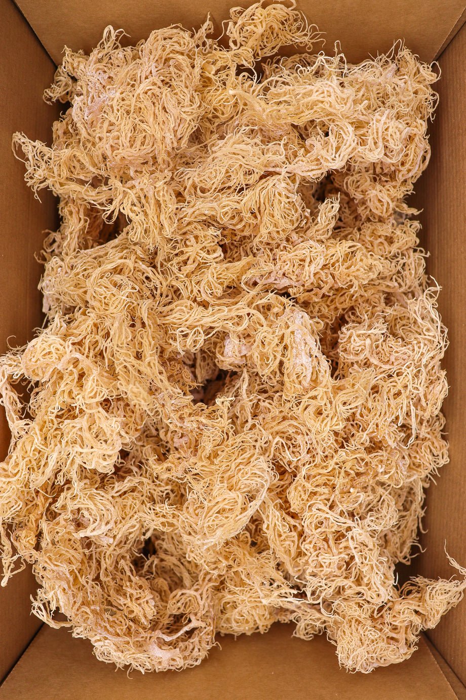 Irish Moss Sea Moss 1kg Bulk Bag