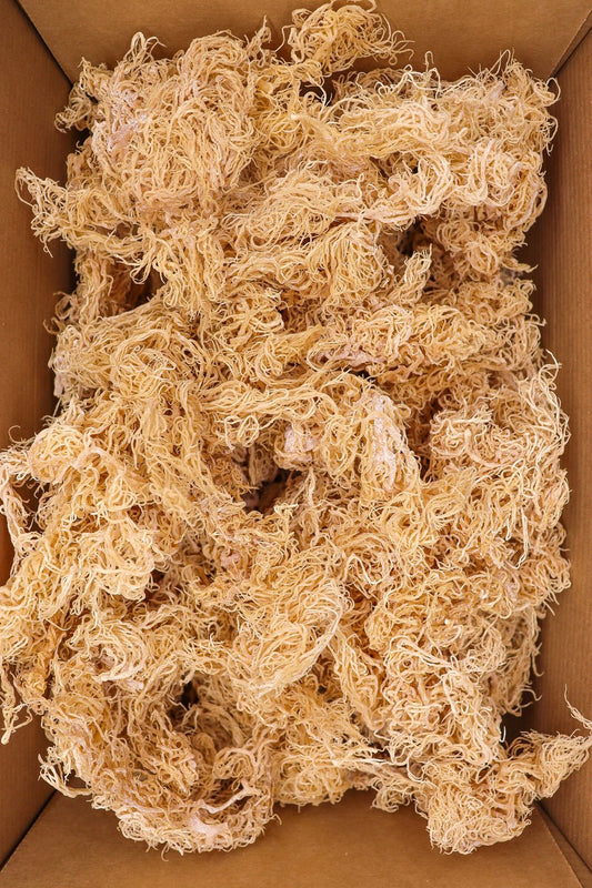 Irish Moss Sea Moss 1kg Bulk Bag