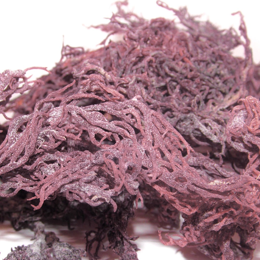 Purple Wildcrafted St Lucian Sea Moss 100g