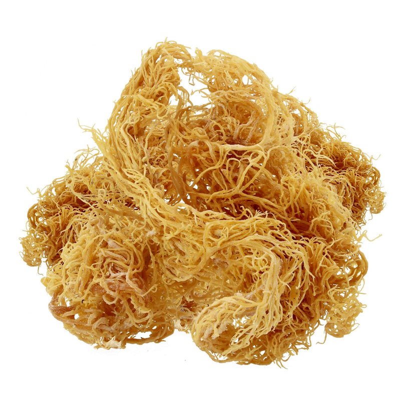 Organic Raw Wildcrafted Sea Moss 100g