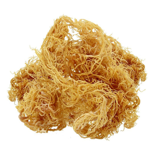 Organic Raw Wildcrafted Sea Moss 100g