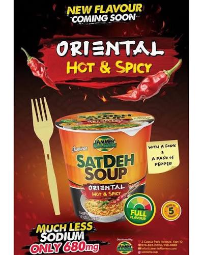 Jammin Ramen Satdeh Soup Oriental Hot & Spicy 65g