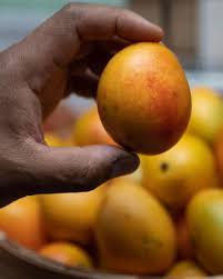 Colombian Baby Mango 1kg